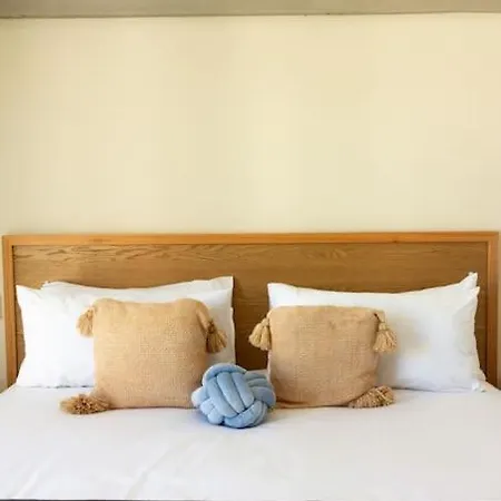 Amazing Location 1 Bedroom Roma, Cdmx